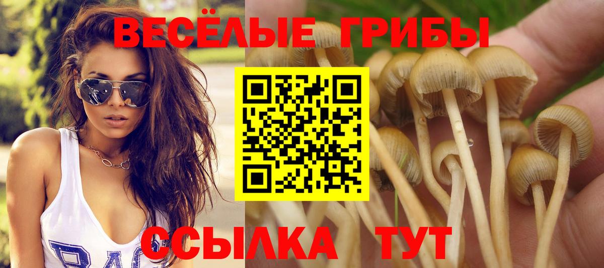 Псилоцибиновые грибы GOLDEN TEACHER Котовск